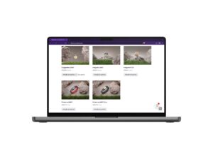 Financiación de los diamantes Brilianto: pantalla para elegir los productos Financiación de los diamantes Brilianto: pantalla para elegir los productos